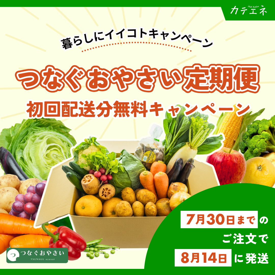 【つなぐ おやさい】規格外お野菜BOX定期便(3,000名さまにつなぐ おやさい定期便を初回配送分無料でプレゼントキャンペーン専用商品)