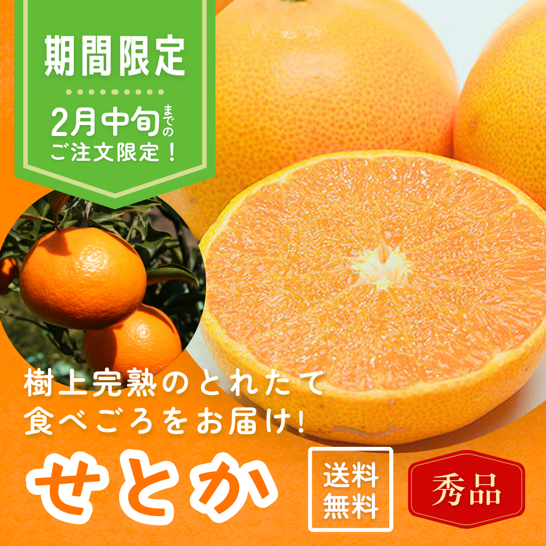 【期間限定】せとか 2kg