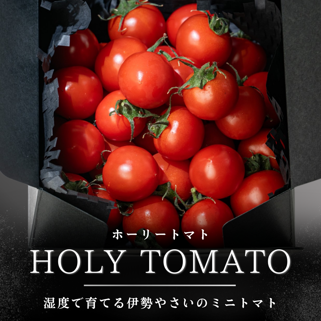 HOLY TOMATO